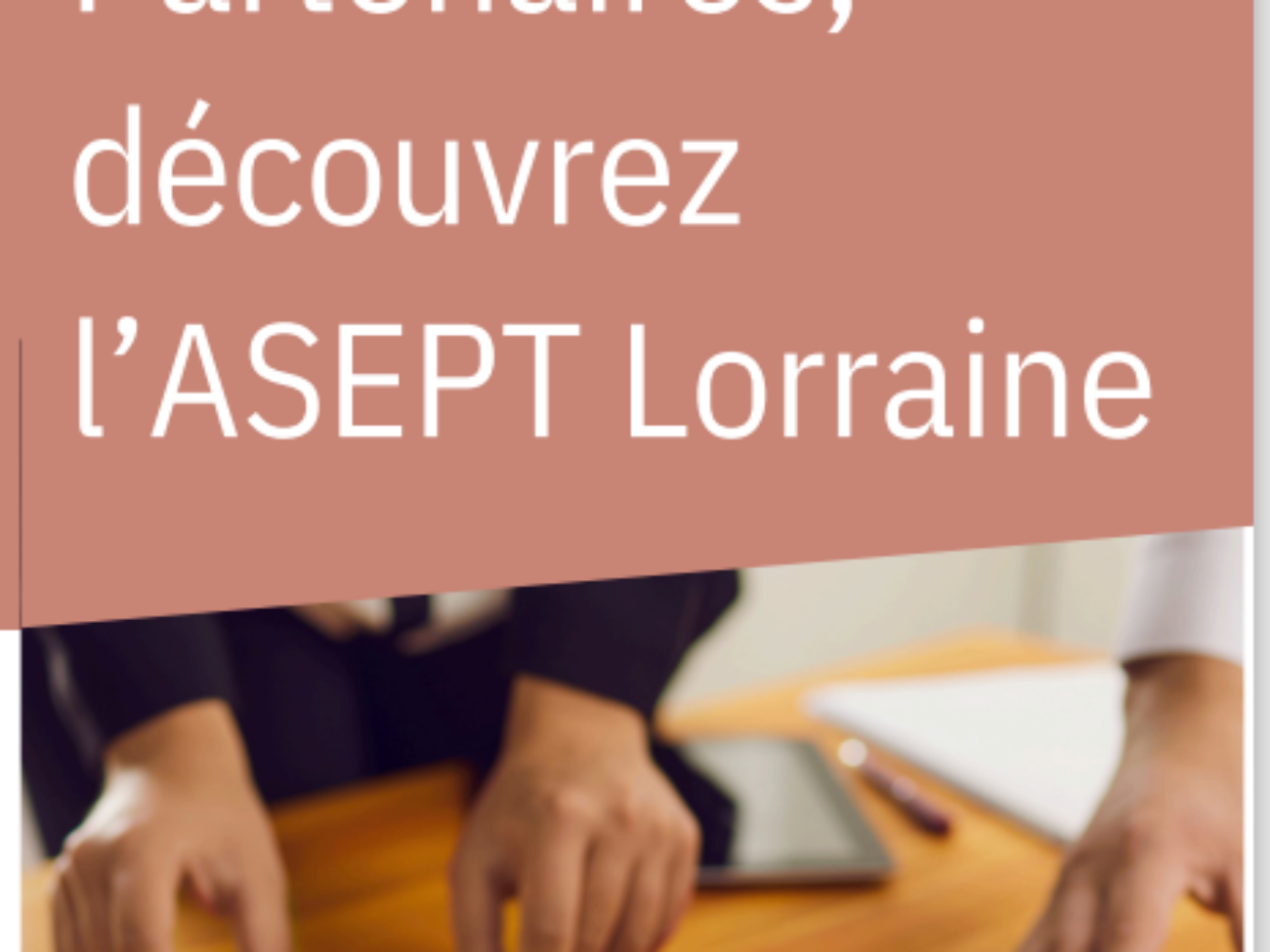 partenaire 1